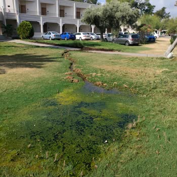 Halal Paradise Didim Ege'de Beklediğimiz Tatili Bulamadık!