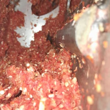 Osimo Endüstriyel Mutfak Ekipmanları Salça Makinesi Posa Atmıyor