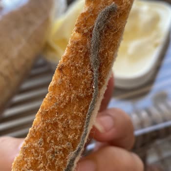 Veteriner Anne Toz Yumaklı Ekmek