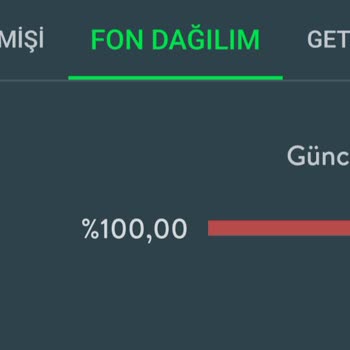 Cepte TEB Fon Sepeti Geriye Kalan Mevduatı Alamıyorum