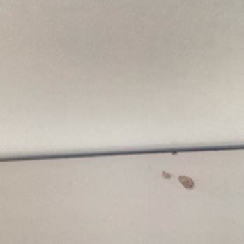 Kelebek Mobilya Ürünlerin Yarısını Bozuk Gönderdi, Bir Kısmı Gelmedi