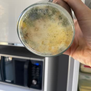 Wefood Marka Hindistan Cevizi Yağının Küflenmesi