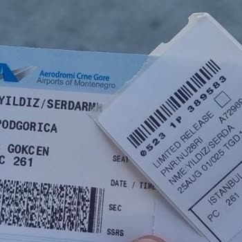 Pegasus Firmasının Mükerrer Çekilen Bilet Bedelini İade Etmesi Talebi