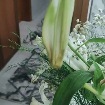 Çiçek Sepeti Çöp Olan Çiçek Gönderimi