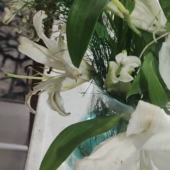 Çiçek Sepeti Çöp Olan Çiçek Gönderimi