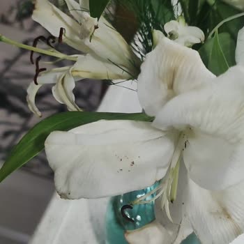 Çiçek Sepeti Çöp Olan Çiçek Gönderimi