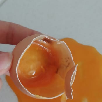 A101 Bozuk Yumurta Satıyor
