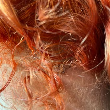 İKKMO (İstanbul Kadın Kuaförleri Manikürcüler Odası) Ataşehir Sess Dejavu!