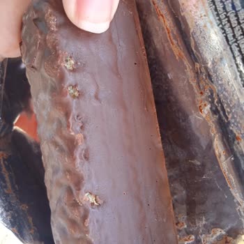 Eti Gıda Eti Karam Gofret Bozuk Çıktı