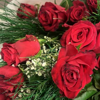 Çiçek Sepeti'nin Solmuş, Çürümüş Gül Buketi Göndermesi