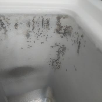 Vestel 1 Haftalık Ürünün Hata Vermesi