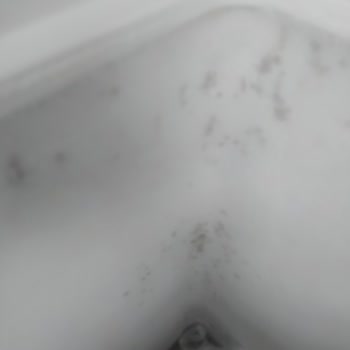 Vestel 1 Haftalık Ürünün Hata Vermesi