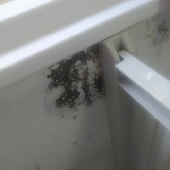 Vestel 1 Haftalık Ürünün Hata Vermesi