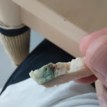 Lezita Aç Ye Tavuktan Küfümsü Madde