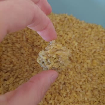 Başhan Bulgurun İçinden Çıkan Tuhaf Parça