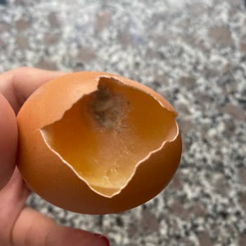 Migros Organik Yumurtadaki Bozukluk