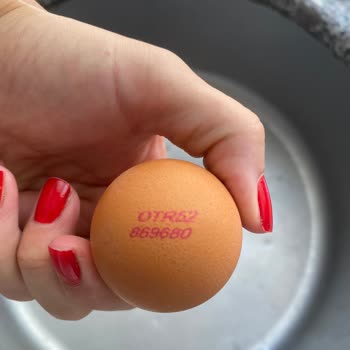Migros Organik Yumurtadaki Bozukluk