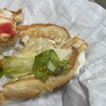 Arbys Hamburgerin İçinden Kurt Çıktı