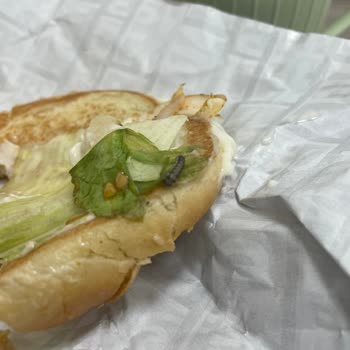 Arbys Hamburgerin İçinden Kurt Çıktı