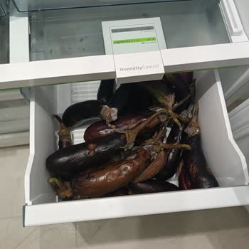 Bosch XXL Dolap Kokuyor Ve Sebze Meyveler Bozuluyor