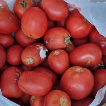 Migros Çürük Sebze Getirdiler
