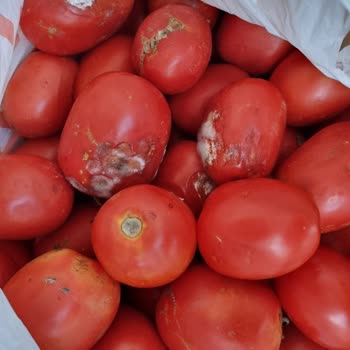 Migros Çürük Sebze Getirdiler