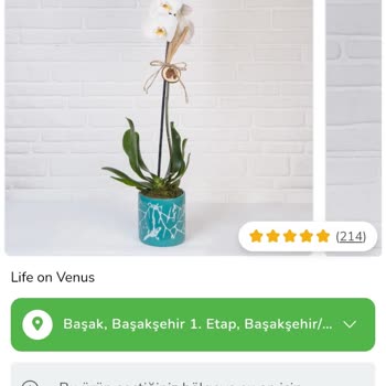 ÇiçekSepeti Sipariş İstanbul Başakşehir'e Girmiyor