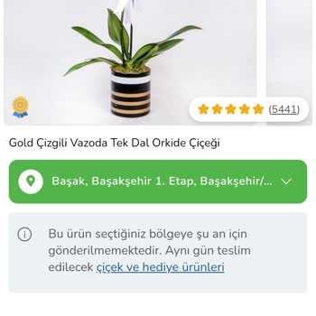 ÇiçekSepeti Sipariş İstanbul Başakşehir'e Girmiyor