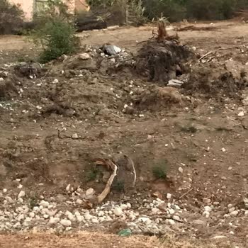 Pınarbaşı Belediyesi (Kayseri) Hizmetsizliği