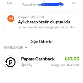 Papara Hesabıma Para Gelmedi