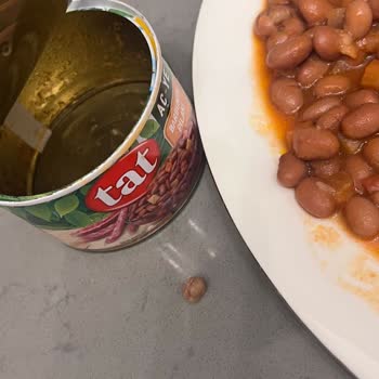 Tat Gıda Tat Barbunya Pilakiden Taş Çıktı Dişimizi Kırdı