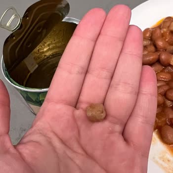 Tat Gıda Tat Barbunya Pilakiden Taş Çıktı Dişimizi Kırdı