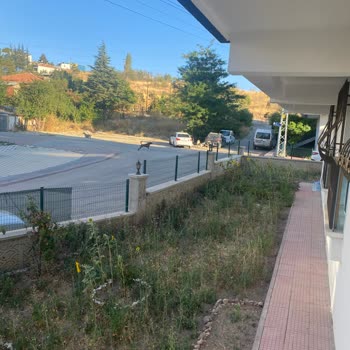 Keçiören Belediyesi Sokak Hayvanları Yüzünden Başımız Belada