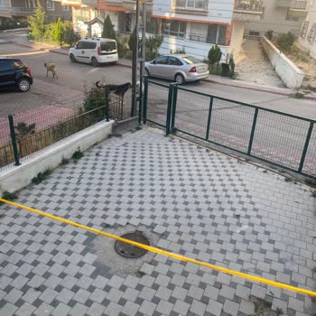Keçiören Belediyesi Sokak Hayvanları Yüzünden Başımız Belada