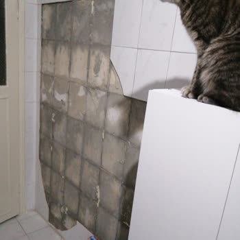 Allianz Sigorta Hasar Bedelimizi Karşılamıyor