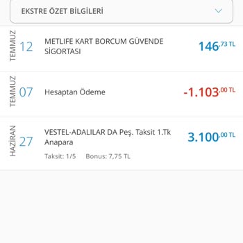 Denizbank Metlife Kredi Kartı Borcum Güvende İptal Edilmesini İstiyorum