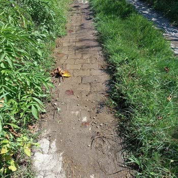 Ordu Büyükşehir Belediyesi Su Borusu Patladı Kimse İlgilenmiyor