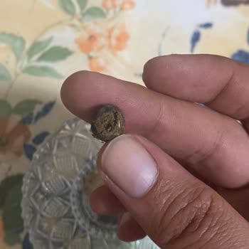 A101 Çekirdeğinde Hayvan Pisliğin Çakması