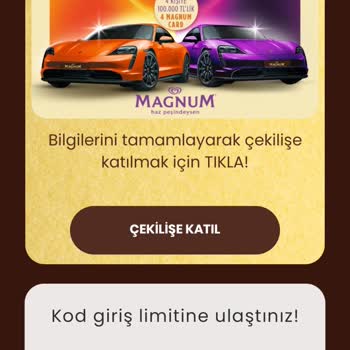 Algida Kod Giriş Limitine Ulaştınız