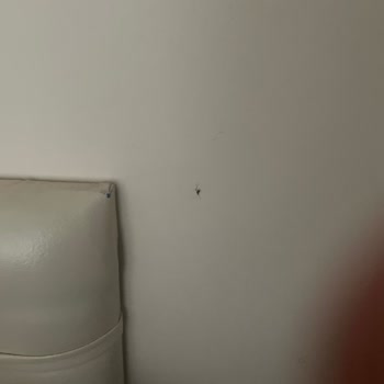 Detan Elektrolikit Hiçbir İşe Yaramıyor