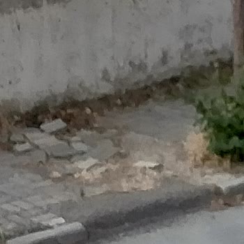 Bolu Belediyesi 4 Senedir Yapılamayan Kaldırım Ve Yol