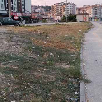 Bursa Büyükşehir Belediyesi Toz Toprak Kaldırıp Yeşillendirme