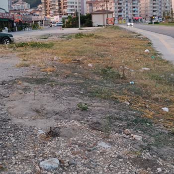 Bursa Büyükşehir Belediyesi Toz Toprak Kaldırıp Yeşillendirme