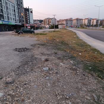 Bursa Büyükşehir Belediyesi Toz Toprak Kaldırıp Yeşillendirme