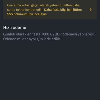 Binance Cyber Coin Esnek Stake