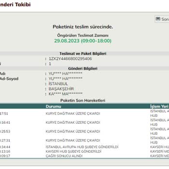 UPS Türkiye Kargomun Teslimatımı Gerçekleştirmiyor