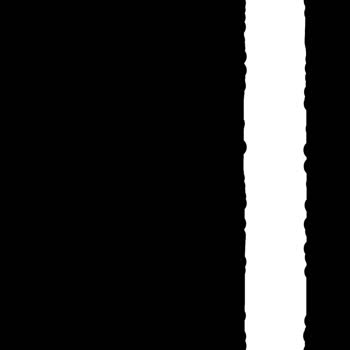 Apple İPhone Dokunmatik Ve Şarj Sorunu