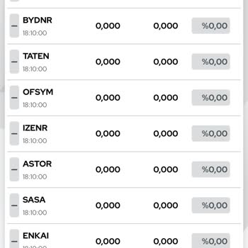 Ziraat Yatırım Borsa Uygulamaya Çökük