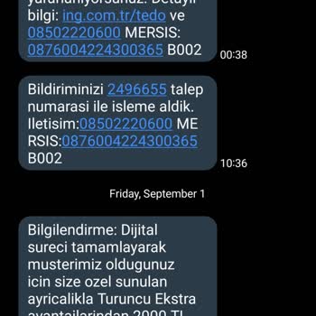 ING Israrcı Bankacılık Anlayışı