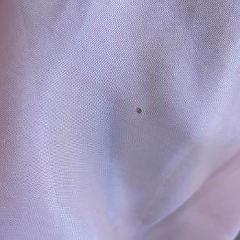 Dressistanbul Kiralık Elbisenin Problemleri